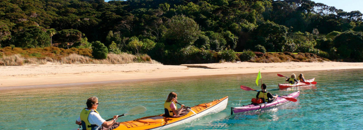 Discover the Islands of Bay of Islands by sea kayak