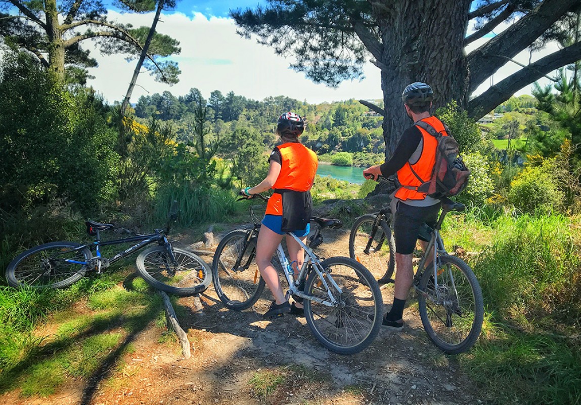 cycle tours north island nz