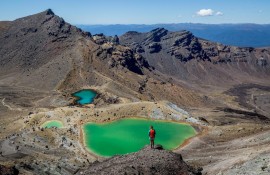 What are the Most Beautiful Walks in New Zealand?