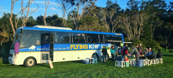 flyingkiwi bus2