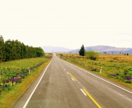 Mackenzie Country - South Island