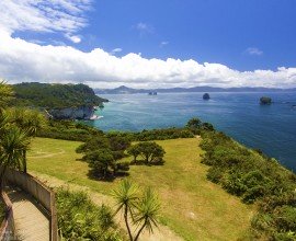 Coromandel in the North Island