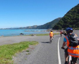 Coastal Road to Kaikōura - South Island