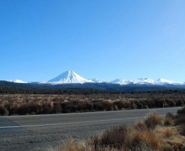Desert Road on the North Island