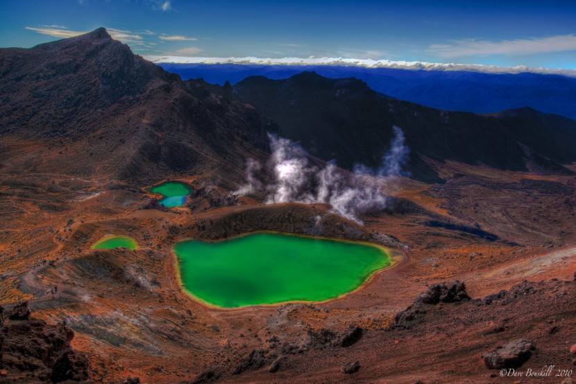 Experience geothermal wonders of the North Island
